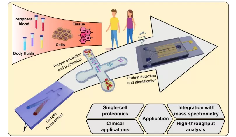 Microfluidic chip workflow for proteomics showing sample pretreatment, on-chip protein extraction, and detection/identification integrated with mass spectrometry; single-cell and clinical applications.